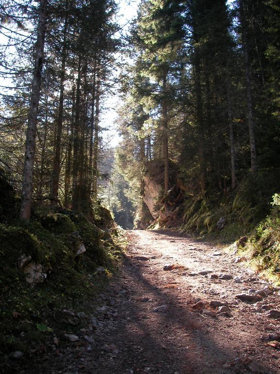 Gaestehaus Attenhauser Unterammergau Εξωτερικό φωτογραφία